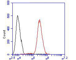 SSB Antibody in Flow Cytometry (Flow)