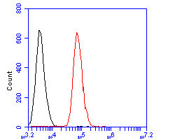 eIF6 Antibody in Flow Cytometry (Flow)