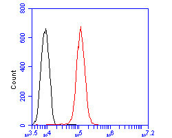 MVK Antibody in Flow Cytometry (Flow)