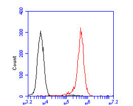 Cullin 4B Antibody in Flow Cytometry (Flow)