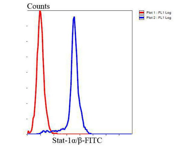 STAT1 alpha/beta Antibody in Flow Cytometry (Flow)