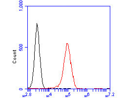 NAT13 Antibody in Flow Cytometry (Flow)