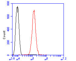 GRIK4 Antibody in Flow Cytometry (Flow)