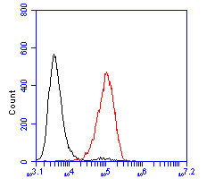 SAPAP1 Antibody in Flow Cytometry (Flow)