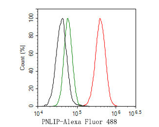 PNLIP Antibody in Flow Cytometry (Flow)