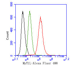 MYT1L Antibody in Flow Cytometry (Flow)