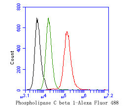PLCB1 Antibody in Flow Cytometry (Flow)