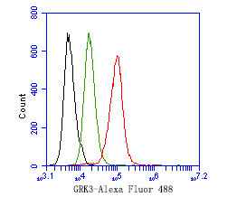 GRK3 Antibody in Flow Cytometry (Flow)