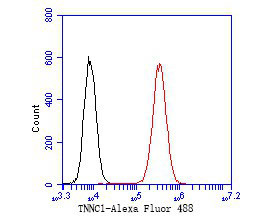 Cardiac Troponin C Antibody in Flow Cytometry (Flow)