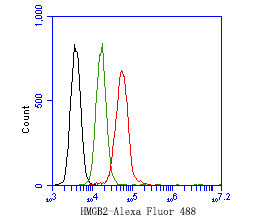 HMGB2 Antibody in Flow Cytometry (Flow)