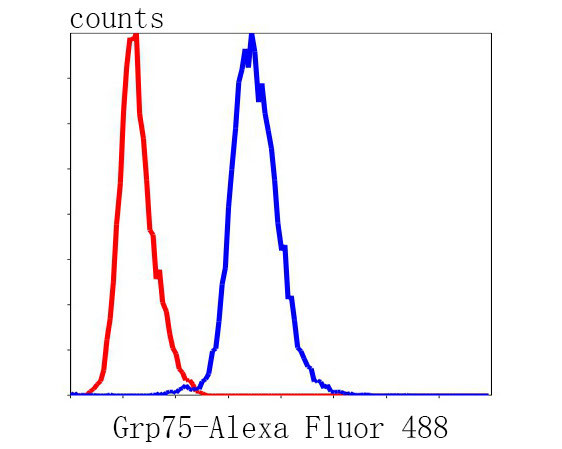 HSPA9 Antibody in Flow Cytometry (Flow)