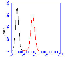 PLCG2 Antibody in Flow Cytometry (Flow)