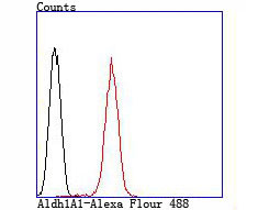 ALDH1A1 Antibody in Flow Cytometry (Flow)