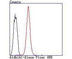 ALDH1A1 Antibody in Flow Cytometry (Flow)