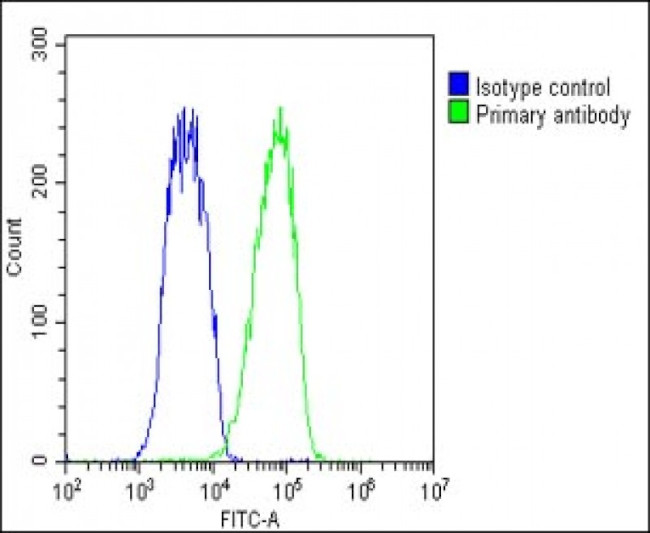 BAP1 Antibody in Flow Cytometry (Flow)