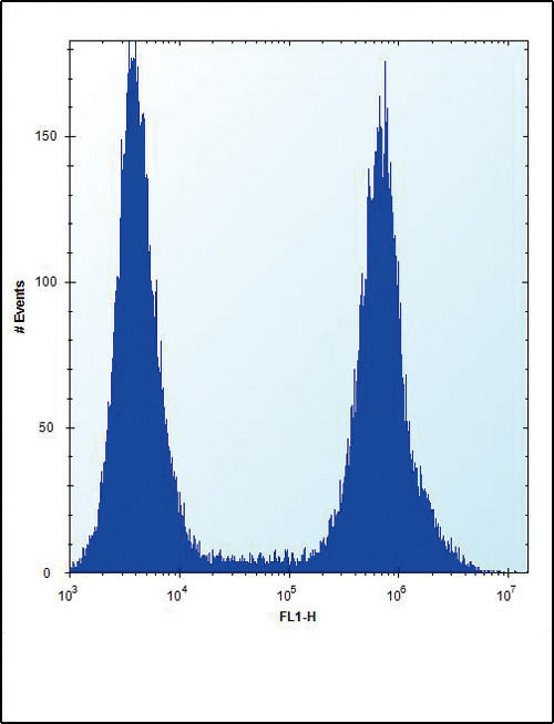 RUNX1 Antibody in Flow Cytometry (Flow)