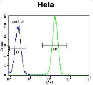 NPM1 Antibody in Flow Cytometry (Flow)