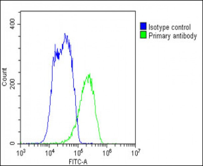 ABCB5 Antibody in Flow Cytometry (Flow)