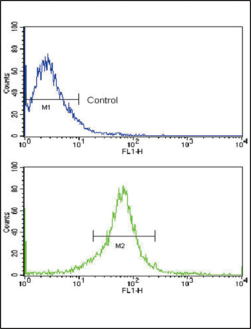 MMP14 Antibody in Flow Cytometry (Flow)