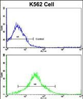 MMP19 Antibody in Flow Cytometry (Flow)