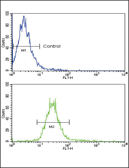 NRG1 Antibody in Flow Cytometry (Flow)