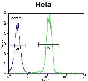 PARP1 Antibody in Flow Cytometry (Flow)