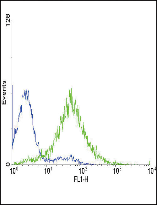 Endothelin A Receptor Antibody in Flow Cytometry (Flow)