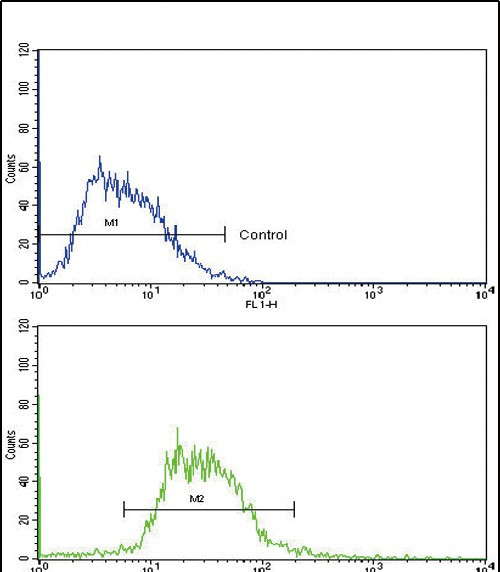 Glucagon Antibody in Flow Cytometry (Flow)