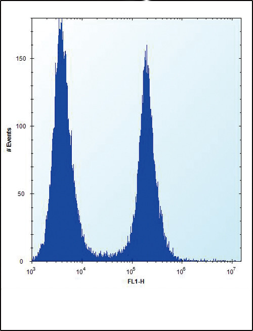 ENO1 Antibody in Flow Cytometry (Flow)