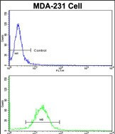 FABP3 Antibody in Flow Cytometry (Flow)