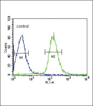 Albumin Antibody in Flow Cytometry (Flow)