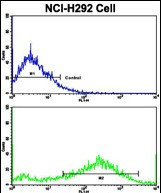 Osteopontin Antibody in Flow Cytometry (Flow)