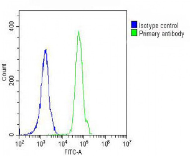 Caspase 8 Antibody in Flow Cytometry (Flow)