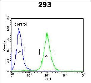 SERPINB3 Antibody in Flow Cytometry (Flow)