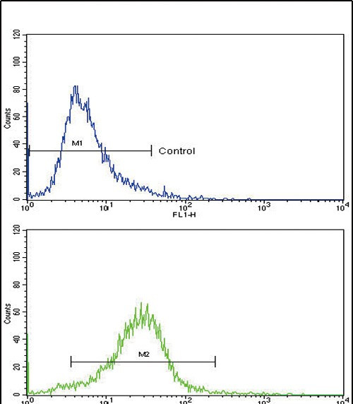 COL6A1 Antibody in Flow Cytometry (Flow)