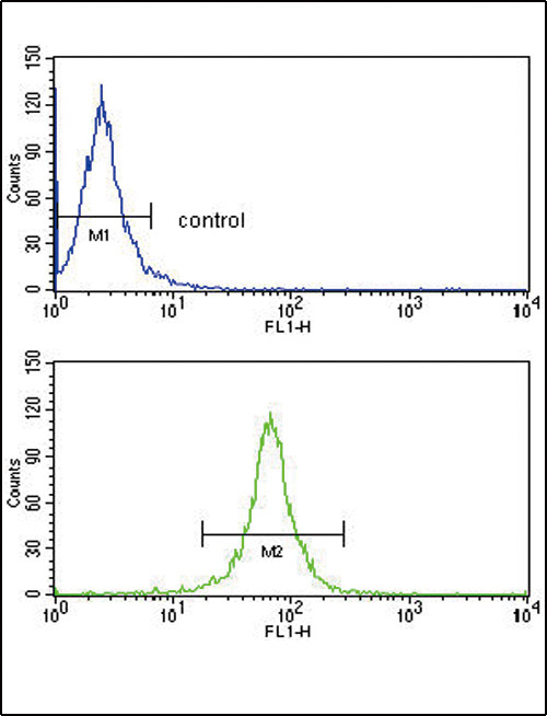 Decorin Antibody in Flow Cytometry (Flow)