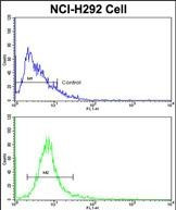 EEF1A1 Antibody in Flow Cytometry (Flow)