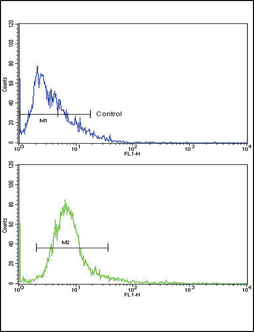 MRP1 Antibody in Flow Cytometry (Flow)