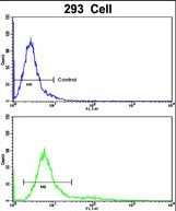 RAB13 Antibody in Flow Cytometry (Flow)