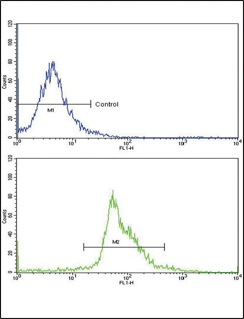 PAX4 Antibody in Flow Cytometry (Flow)