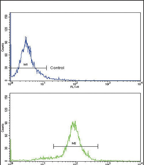 MCP-1 Antibody in Flow Cytometry (Flow)