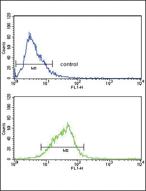 AOX1 Antibody in Flow Cytometry (Flow)