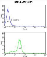 Cytokeratin 14 Antibody in Flow Cytometry (Flow)