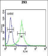 DCD Antibody in Flow Cytometry (Flow)