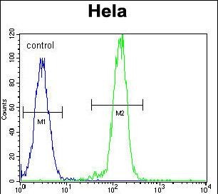 AKT2 Antibody in Flow Cytometry (Flow)