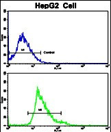 Creatine Kinase MB Antibody in Flow Cytometry (Flow)