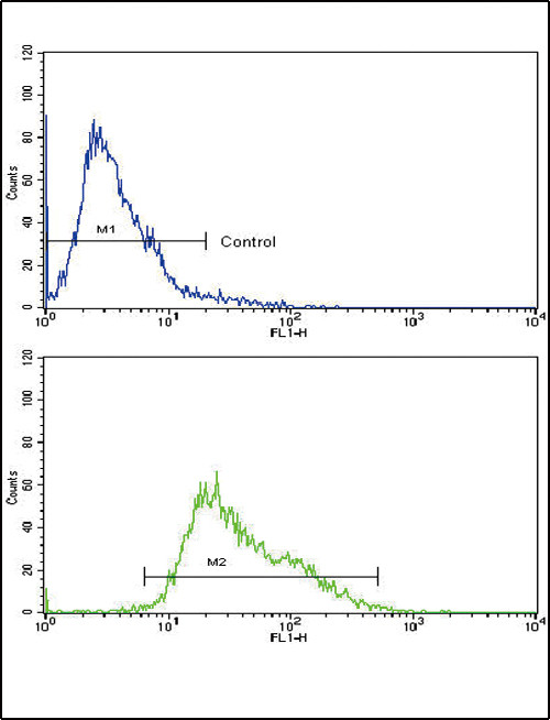 AMHR2 Antibody in Flow Cytometry (Flow)