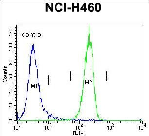 LKB1 Antibody in Flow Cytometry (Flow)