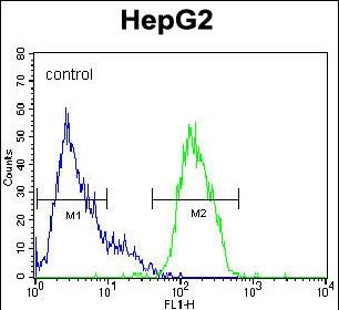 ERK2 Antibody in Flow Cytometry (Flow)