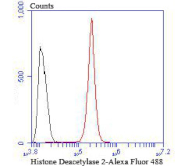 HDAC2 Antibody in Flow Cytometry (Flow)